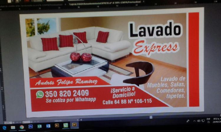 Lavado De. Muebles