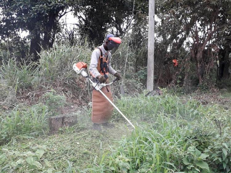 servicio guadaña, podas, tala y jardineria