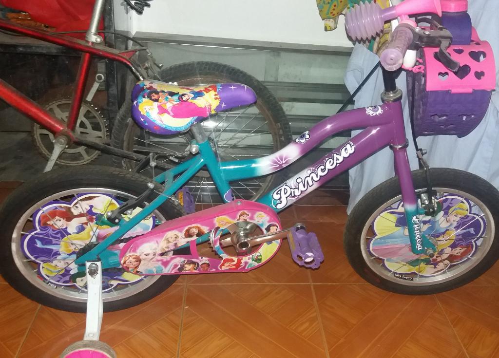 Bicicleta de Princesas Verde Y Morado