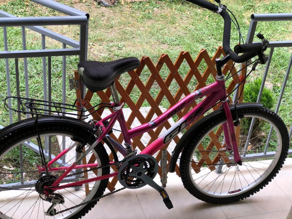 bicicleta femenina