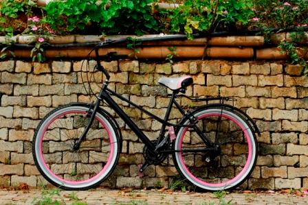 bicicleta vintage