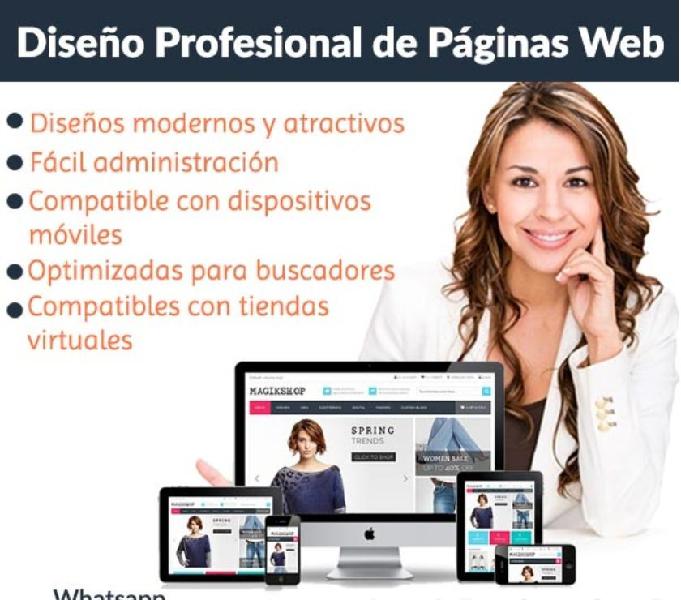 Diseño Profesional de Páginas Web Cartagena