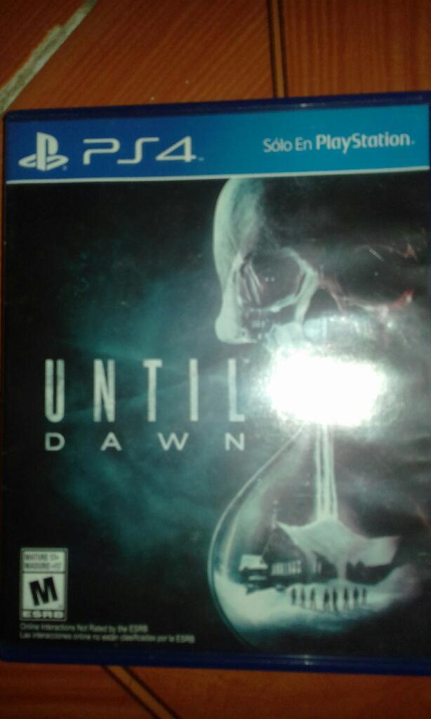 Until Dawn