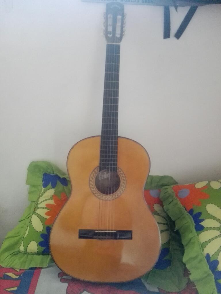 Guitarra Acustica Marca Guiber