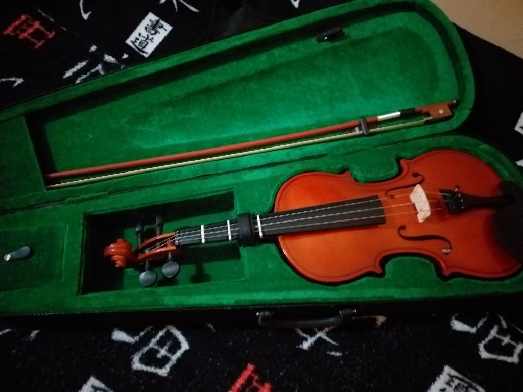 Se Vende Violin Verona 4/4 Negociable