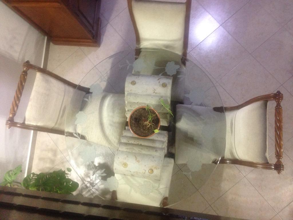 Comedor
