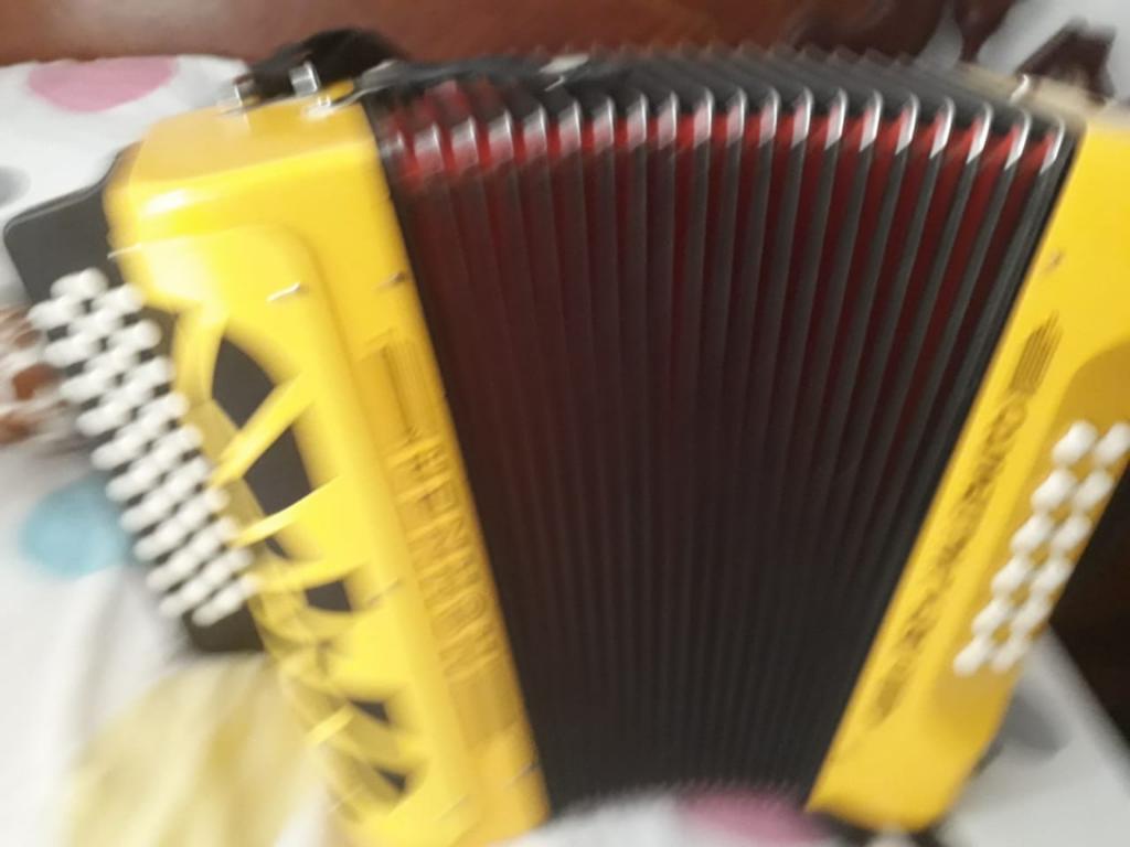 Acordeon Rey Vallenato