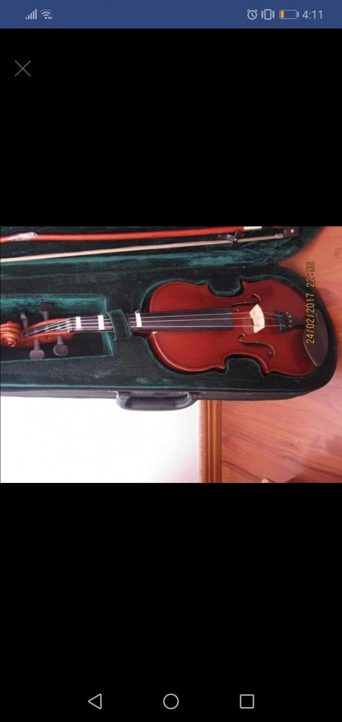 Violin cremona