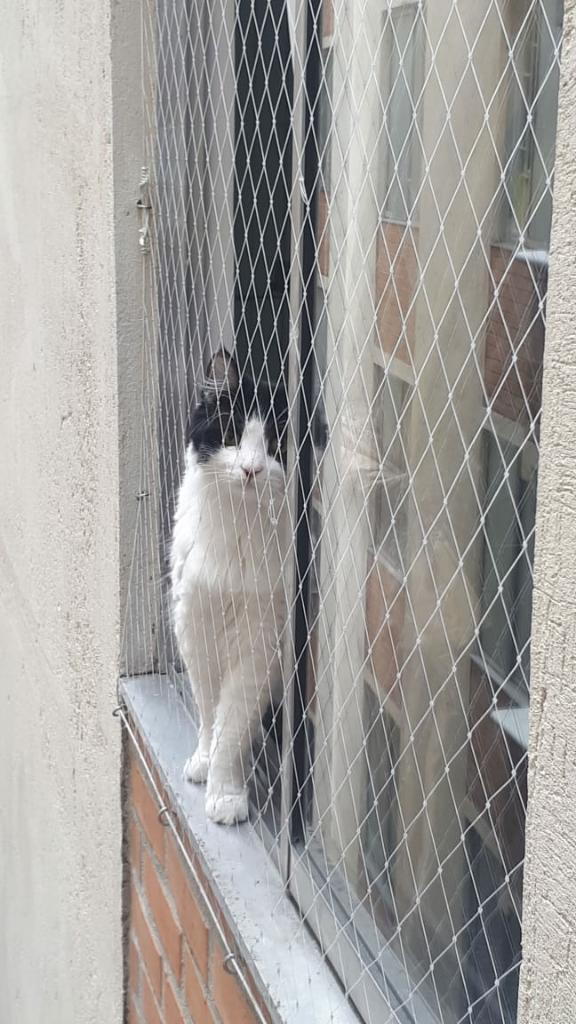 Mallas de Seguridad para Mascotas Y Niño