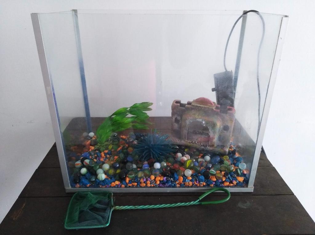 Pecera con Accesorios