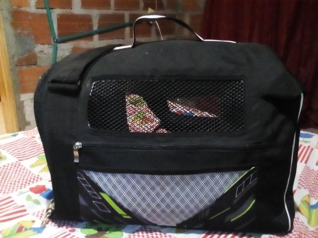 vedo guacal o maleta viajera para perro o gato