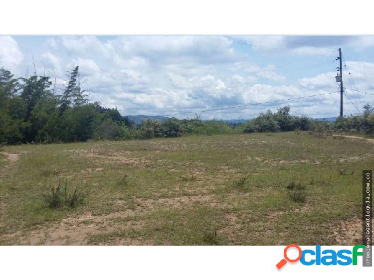 Lote en Venta sector Sajonia en Rionegro