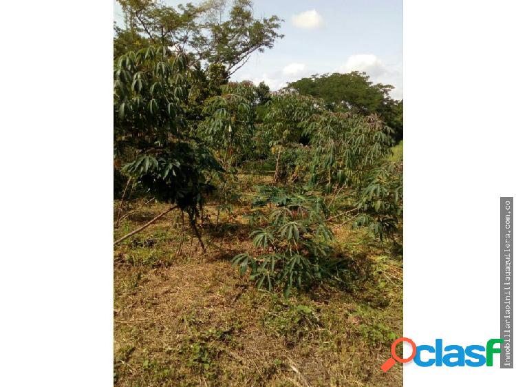 VENTA DE HERMOSA FINCA GANGASO PLANA TOCAIMA CUND.