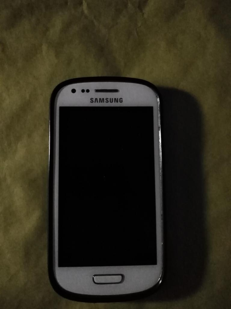 Samsung S3 mini