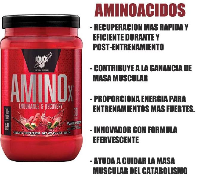 Aminoácidos Amino X BSN