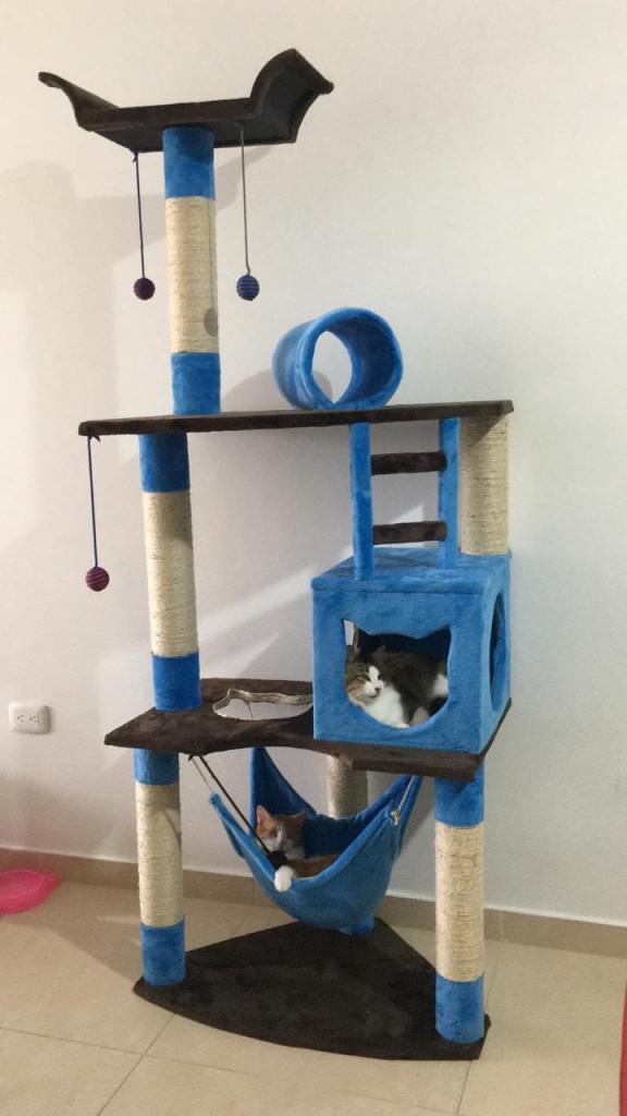 Gimnasio Rascador Para Gato Obsequio Juguete!!