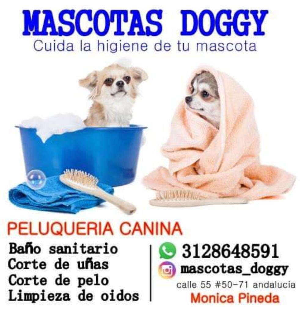 Peluqueria Canina Accesorios Acuarios