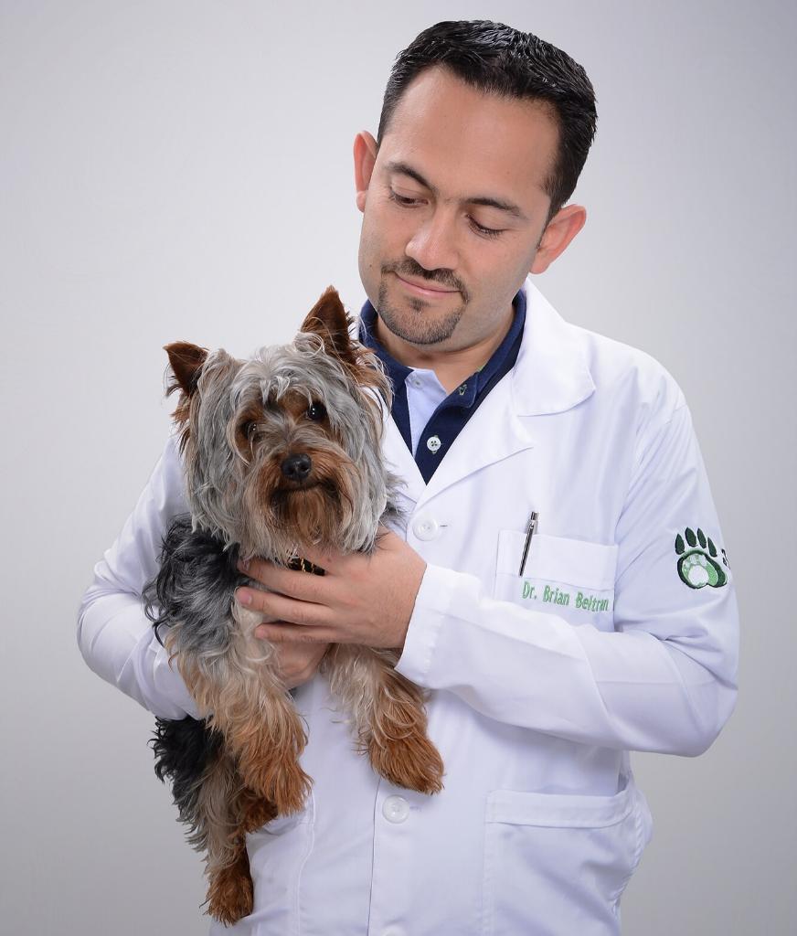 Veterinario a Domicilio