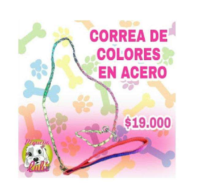 CORREA PARA PERROS