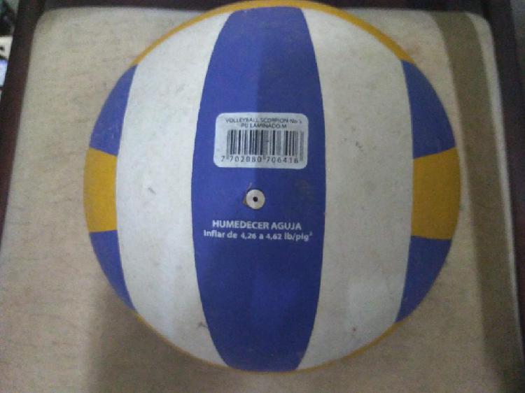 Balon Voleibol