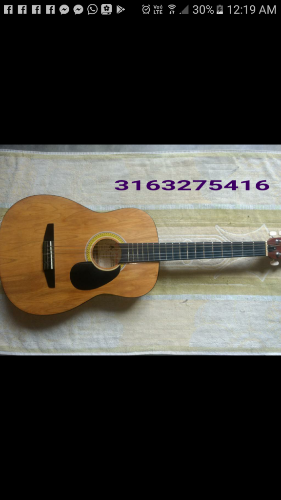 Guitarra Palmer Ps38