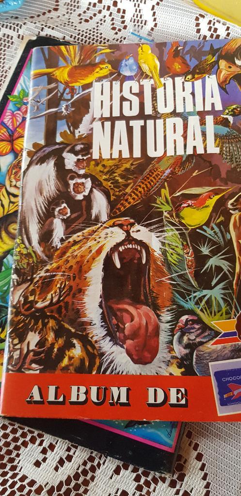 Album Jet Nuevo Historia Natural Tigre