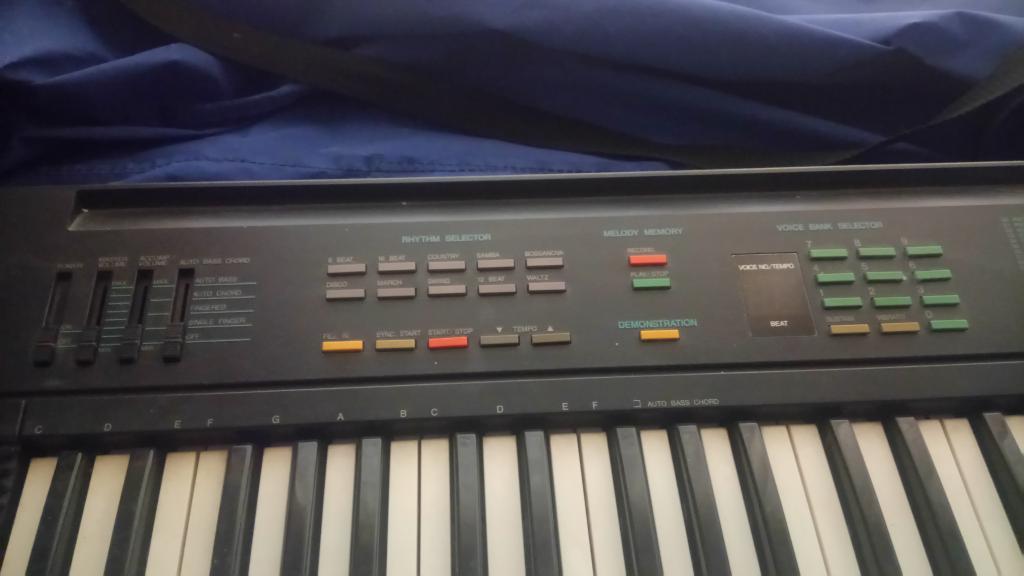 Organeta O Teclado Yamaha Psr6