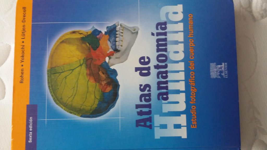 atlas de anatomia humana yokochi,sexta ed