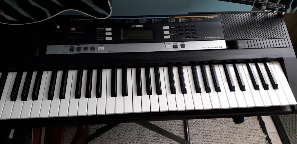 organeta yamaha e243