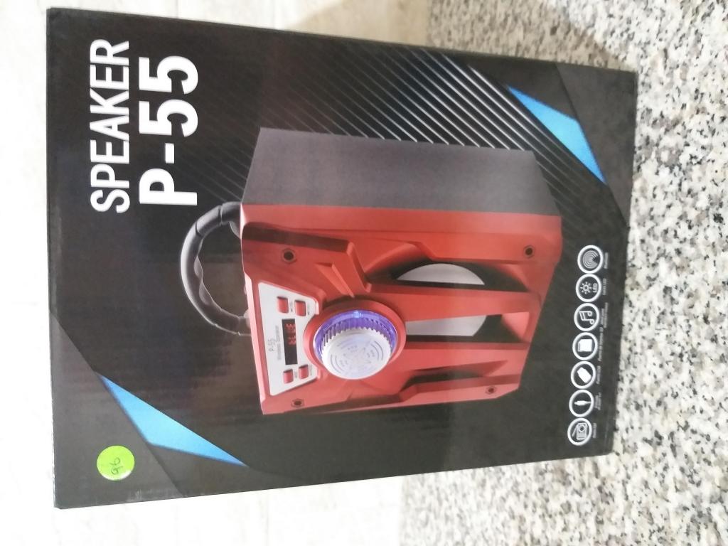 SPEAKER P55