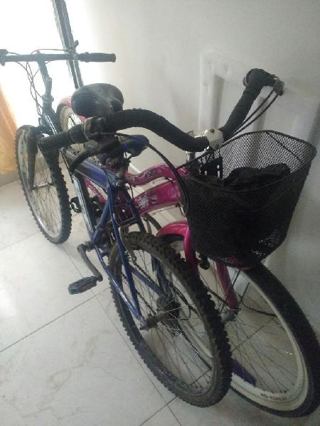 2 Bicicletas en Buen Estado Negociables