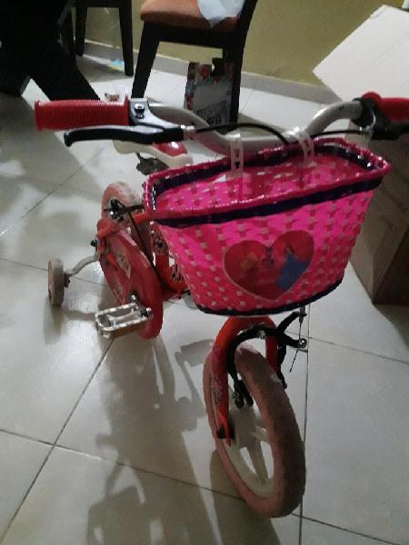 Bicicleta para Niña en Excelente Estado