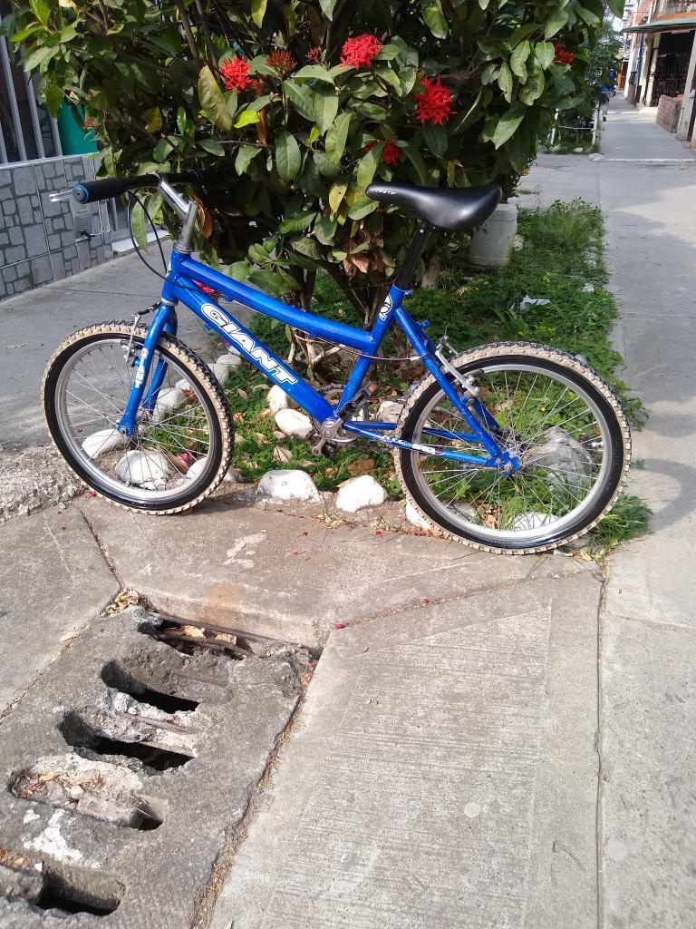 Bicicleta