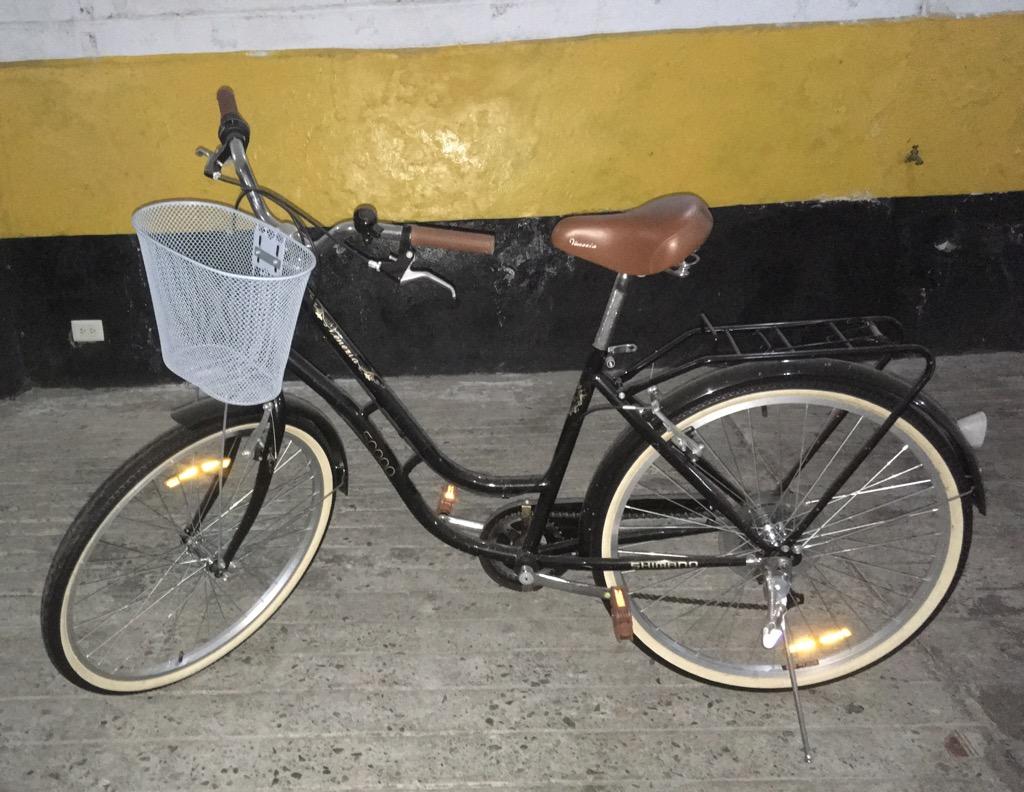 Bicicleta Vintage (Muy Poco Uso)