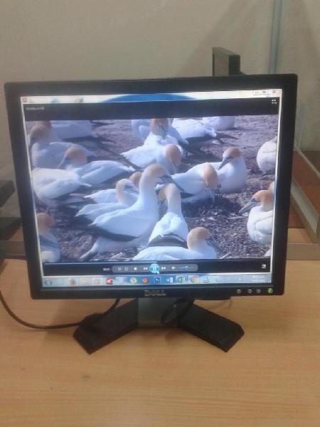 Monitor dell 17 pulgadas