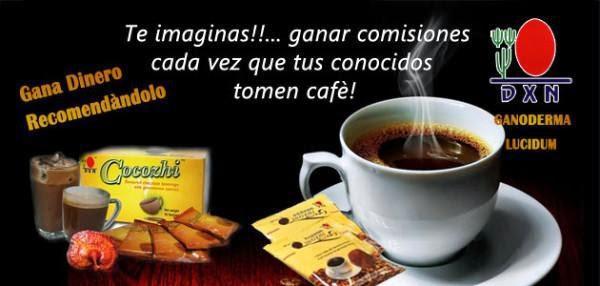 Vendedores de Cafe Gourmet Saludable