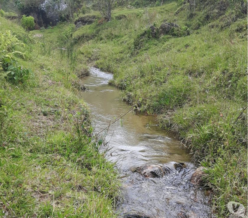 SE ARRIENDA FINCA YARUMAL.