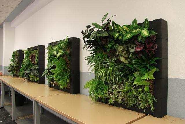 jardin vertical artificial