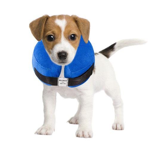 Cuello Inflable Protector Para Perros Y Gatos: El Collar De