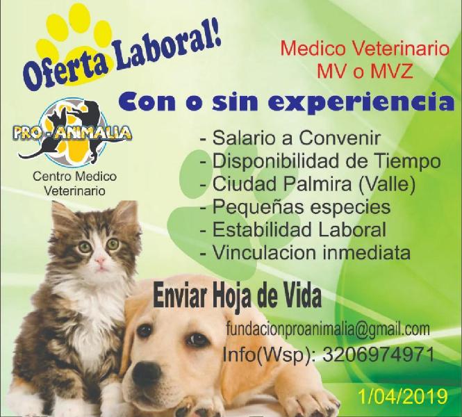 Medico veterinario oferta laboral