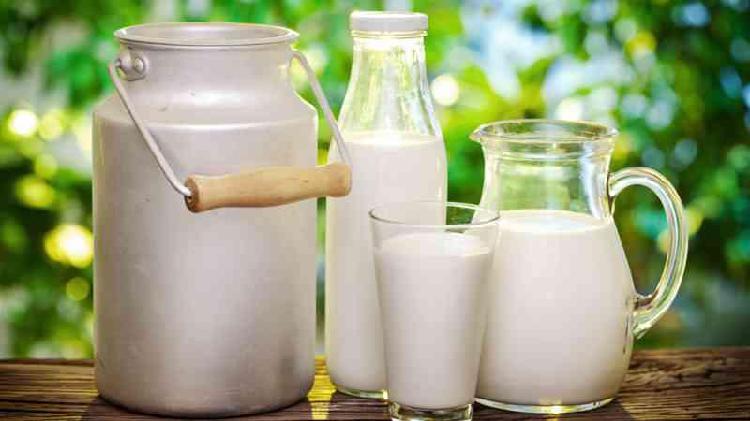 Se requiere proveedor de leche cruda Barranquilla