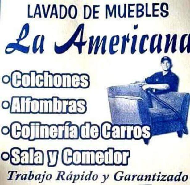 Lavado de Muebles La Americana