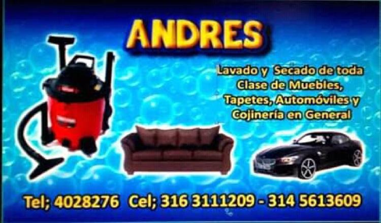 Lavado de Muebles Y Cojines de Carro