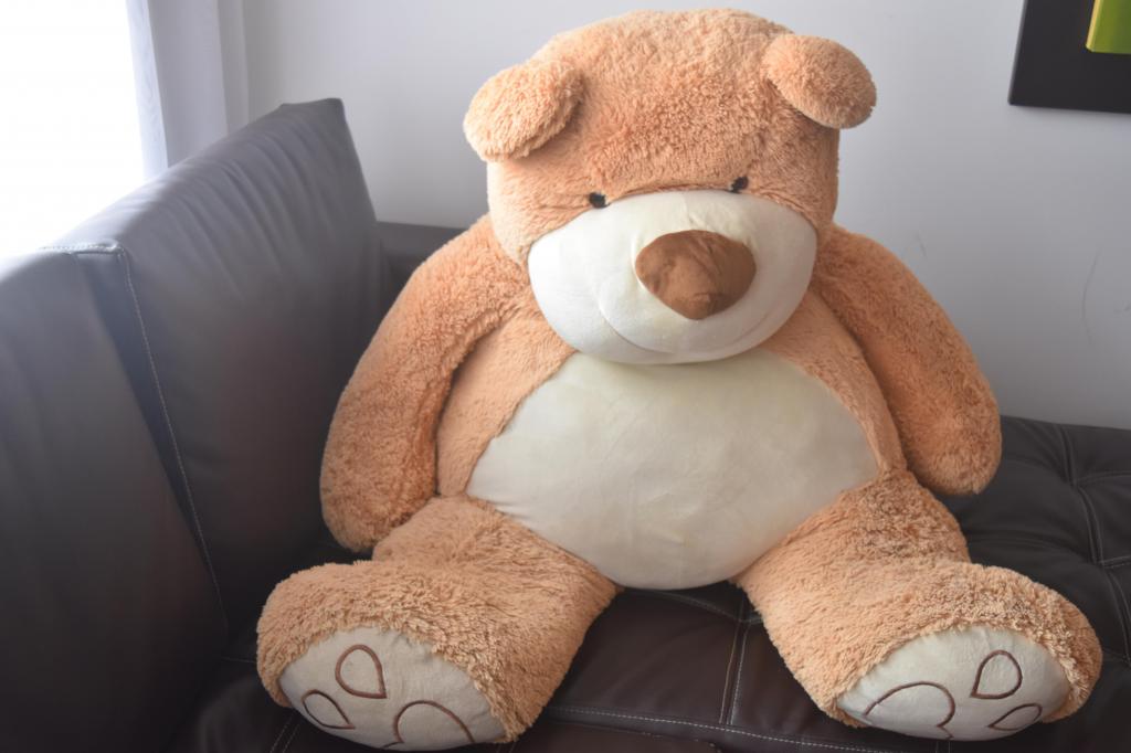 Oso de Peluche