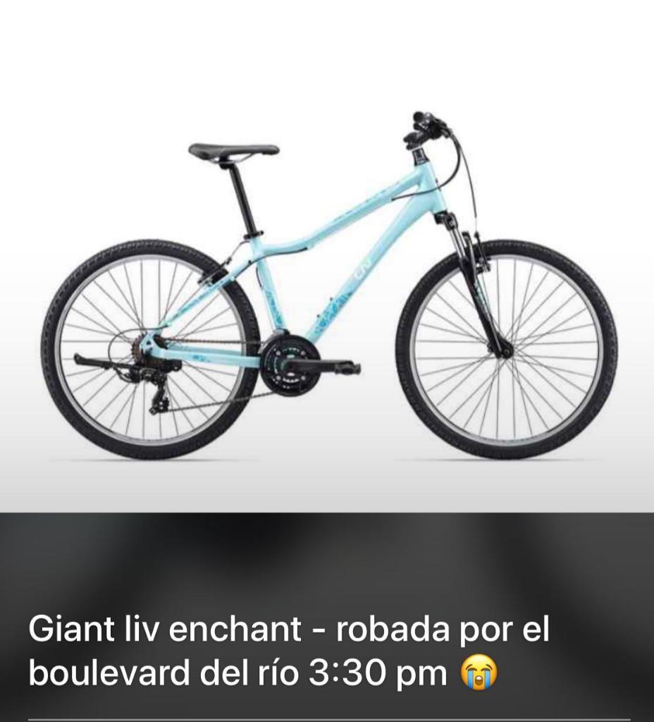 Bicicleta