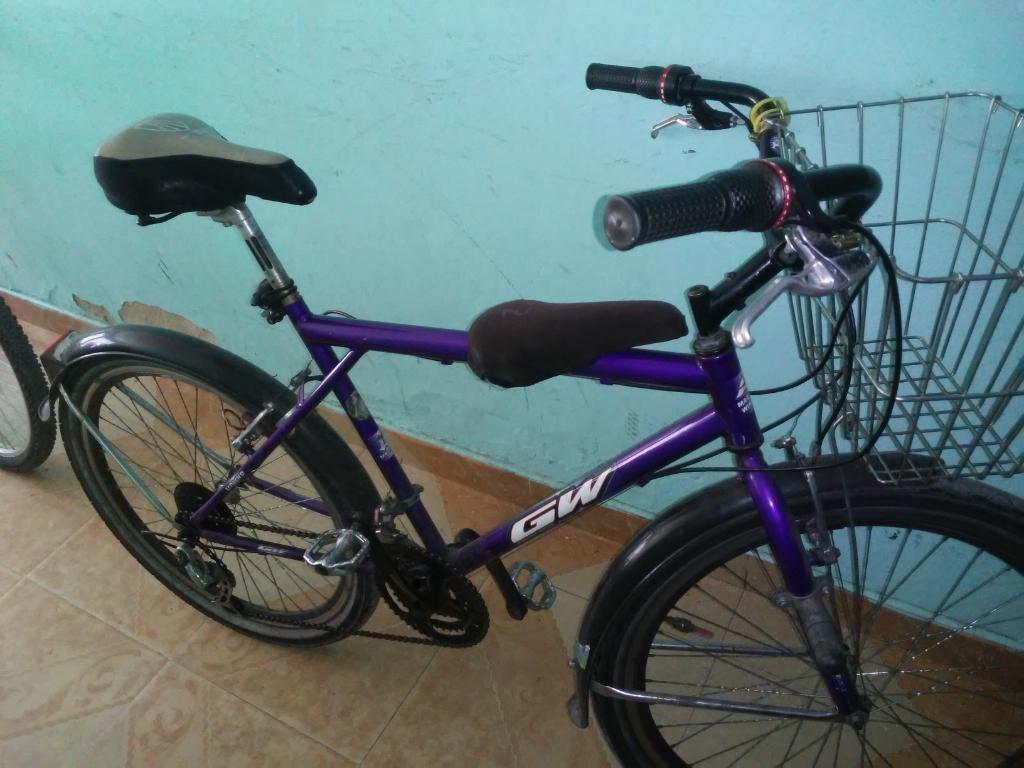 Bicicleta para Llevar Al Niño