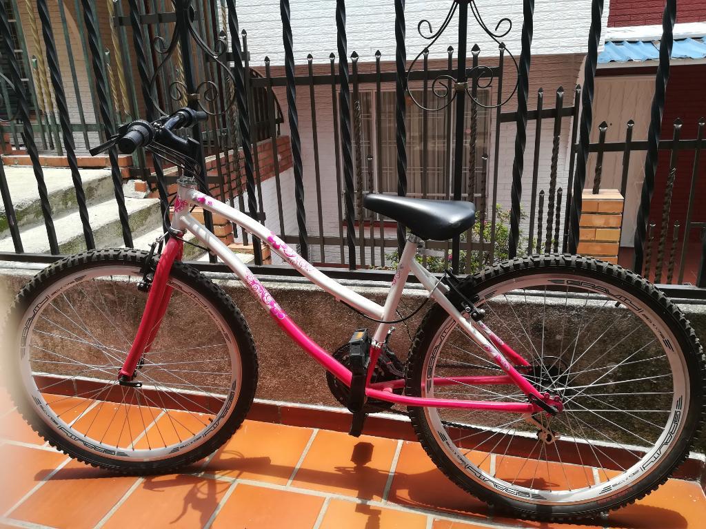 Bicicleta para Niña. Cambio Manubrios