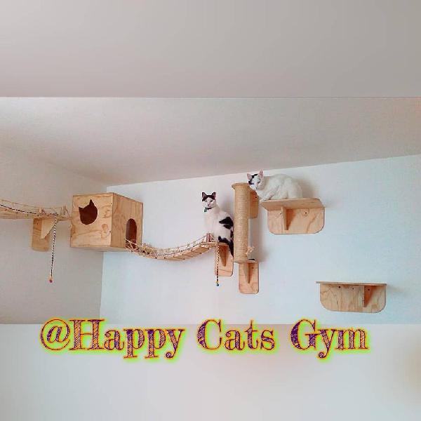Gimnasio para Gatos Happy Cats Gym