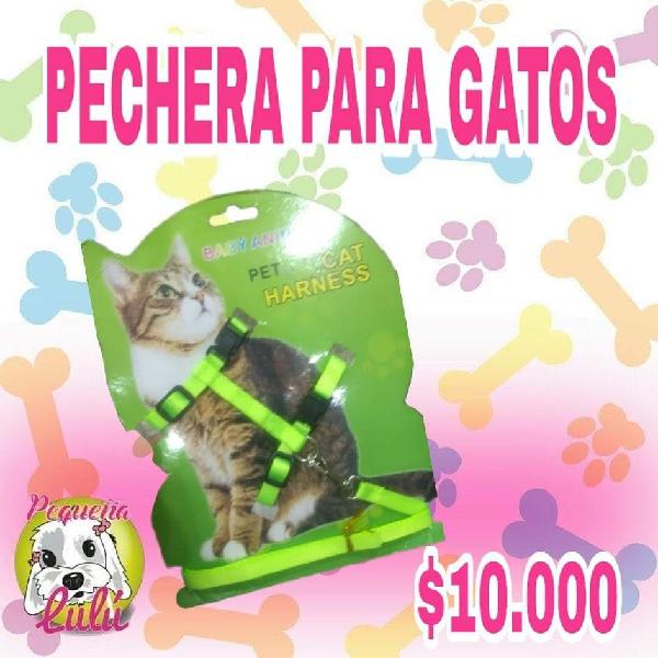 PECHERA PARA GATOS