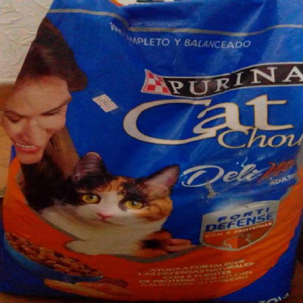 comida para gato